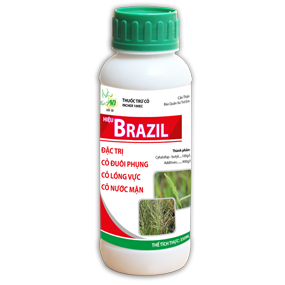 BRAZIL 100EC