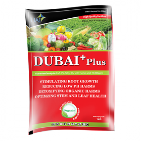 DUBAI+Plus